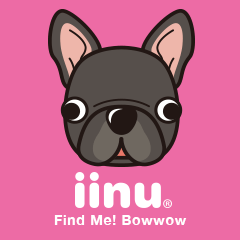 iinu - French Bulldog
