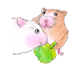 Fancy Hamster sticker #4265727