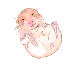 Fancy Hamster sticker #4265730