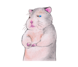 Fancy Hamster sticker #4265731
