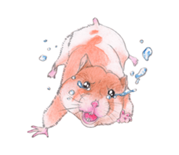 Fancy Hamster sticker #4265733