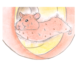 Fancy Hamster sticker #4265736