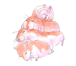 Fancy Hamster sticker #4265737