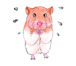 Fancy Hamster sticker #4265742