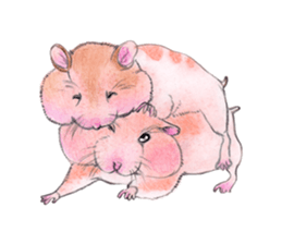 Fancy Hamster sticker #4265748