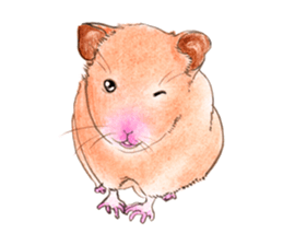 Fancy Hamster sticker #4265753
