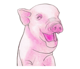 Fancy Pigs sticker #4267201