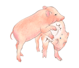 Fancy Pigs sticker #4267202