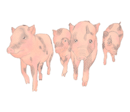 Fancy Pigs sticker #4267206