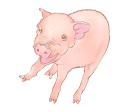 Fancy Pigs sticker #4267210