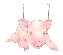 Fancy Pigs sticker #4267214