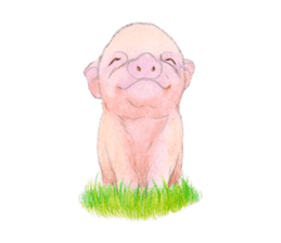 Fancy Pigs sticker #4267218