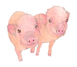 Fancy Pigs sticker #4267230