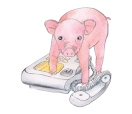 Fancy Pigs sticker #4267233