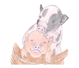 Fancy Pigs sticker #4267236