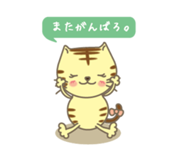 Positive sticker of a cat . sticker #4267734