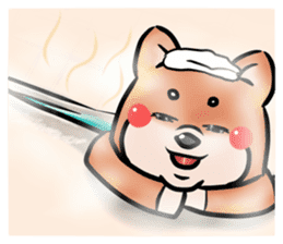 Cute Chubby Shiba Inu sticker #4267772