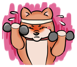 Cute Chubby Shiba Inu sticker #4267784