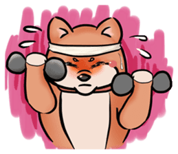 Cute Chubby Shiba Inu sticker #4267784