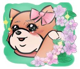 Cute Chubby Shiba Inu sticker #4267799