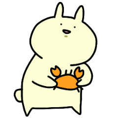 Day-to-day of rabbit3