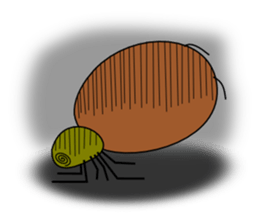 Daily Kumosuke sticker #4275867