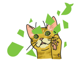 cat on an empty stomach. sticker #4278449