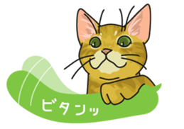 cat on an empty stomach. sticker #4278451