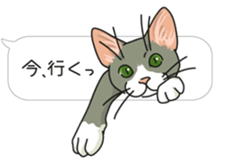 cat on an empty stomach. sticker #4278452