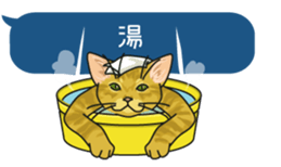 cat on an empty stomach. sticker #4278458