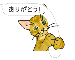 cat on an empty stomach. sticker #4278460