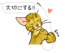 cat on an empty stomach. sticker #4278461