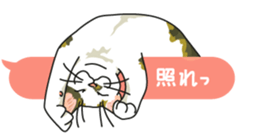 cat on an empty stomach. sticker #4278465