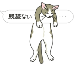 cat on an empty stomach. sticker #4278470