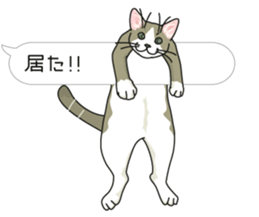 cat on an empty stomach. sticker #4278471