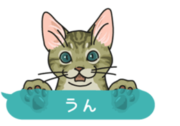 cat on an empty stomach. sticker #4278473