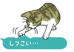 cat on an empty stomach. sticker #4278474