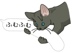 cat on an empty stomach. sticker #4278476