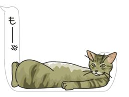 cat on an empty stomach. sticker #4278478