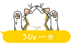 cat on an empty stomach. sticker #4278480