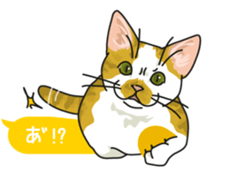 cat on an empty stomach. sticker #4278481