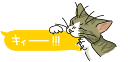 cat on an empty stomach. sticker #4278482