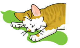 cat on an empty stomach. sticker #4278484