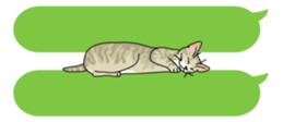 cat on an empty stomach. sticker #4278485