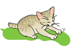 cat on an empty stomach. sticker #4278486