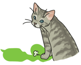 cat on an empty stomach. sticker #4278487