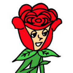 The rose gentleman