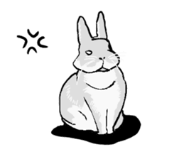 usagi san sticker #4279171