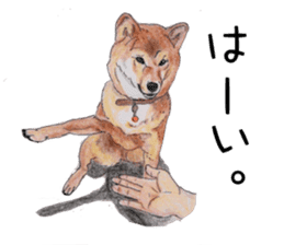 Favorite parts of SHIBAINU 2 sticker #4279331