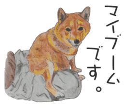 Favorite parts of SHIBAINU 2 sticker #4279338